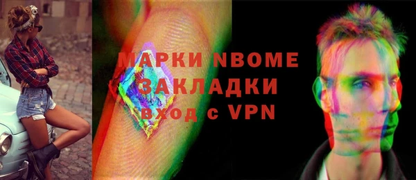 хмурый Сосновый Бор