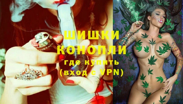 хмурый Сосновый Бор