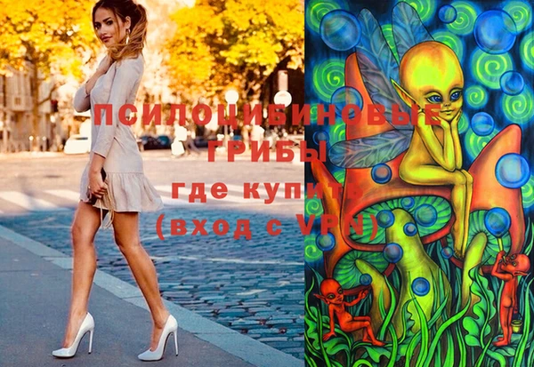 хмурый Сосновый Бор