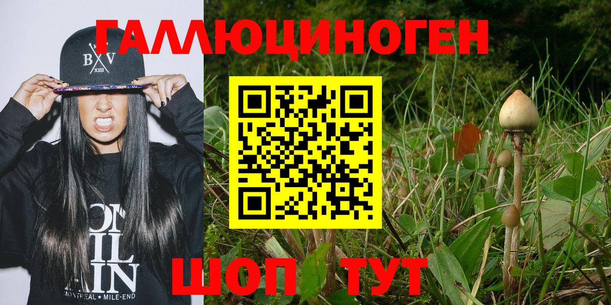 Галлюциногенные грибы Magic Shrooms Железногорск
